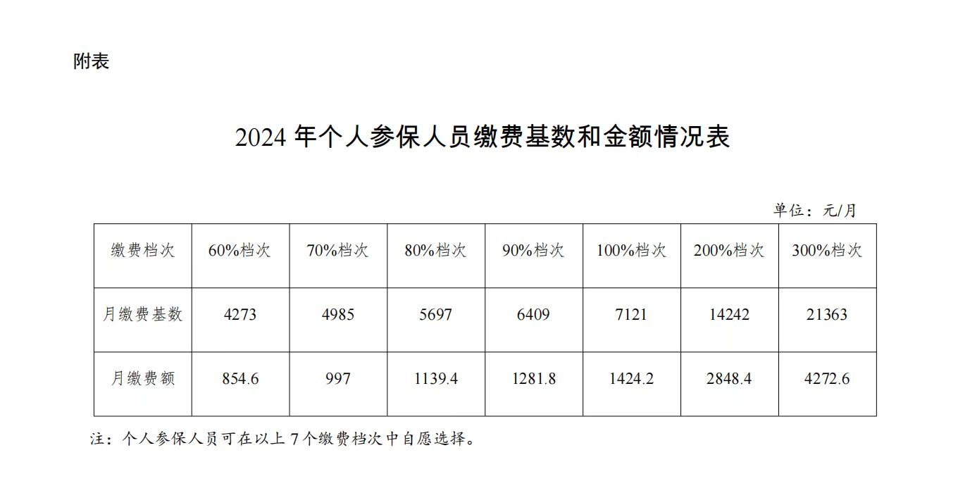 2024年个人参保人员缴费基数和金额情况表